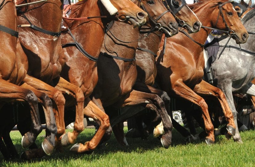 Today’s Racing Preview